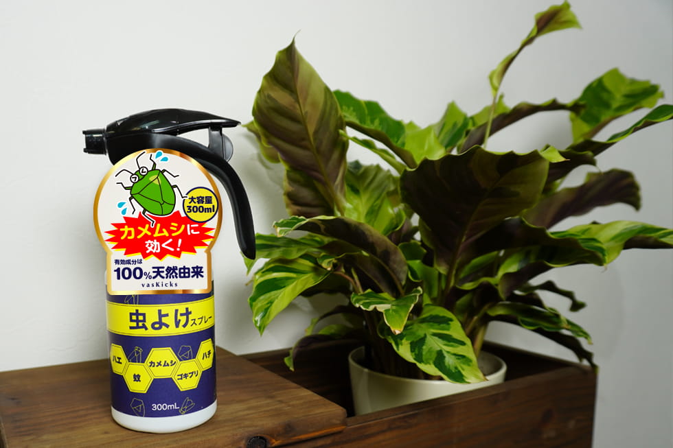 カメムシに効く虫除けスプレー